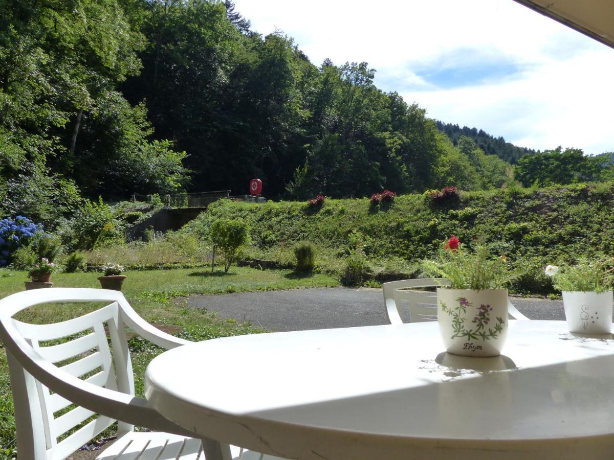 Appartement Entier Dans Un Ecrin De Verdure Thann Exterior photo